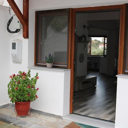 Villa Sofia Marathos  Exterior foto