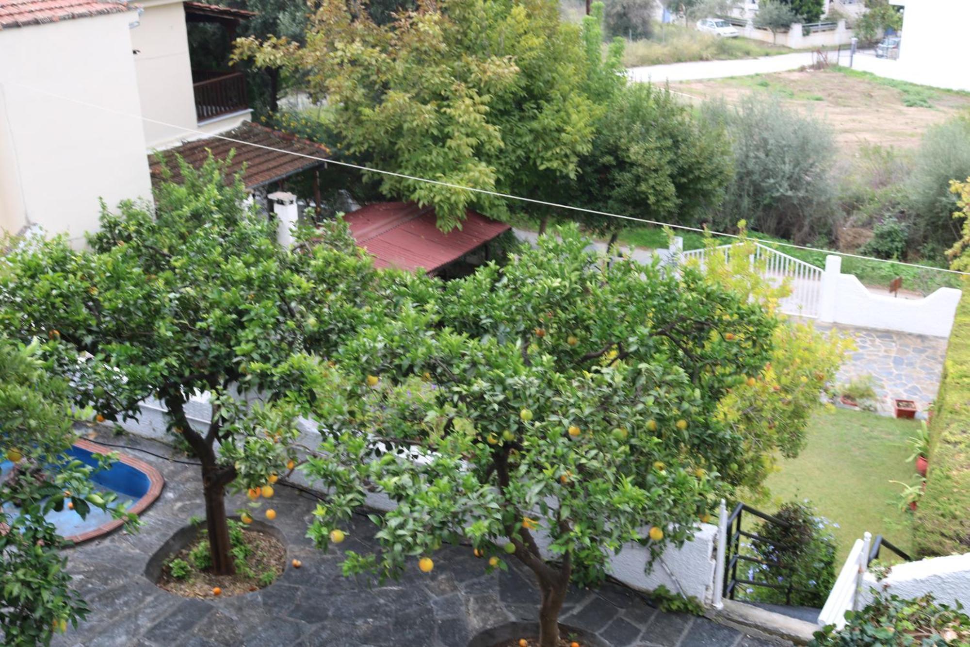 Villa Sofia Marathos  Exterior foto