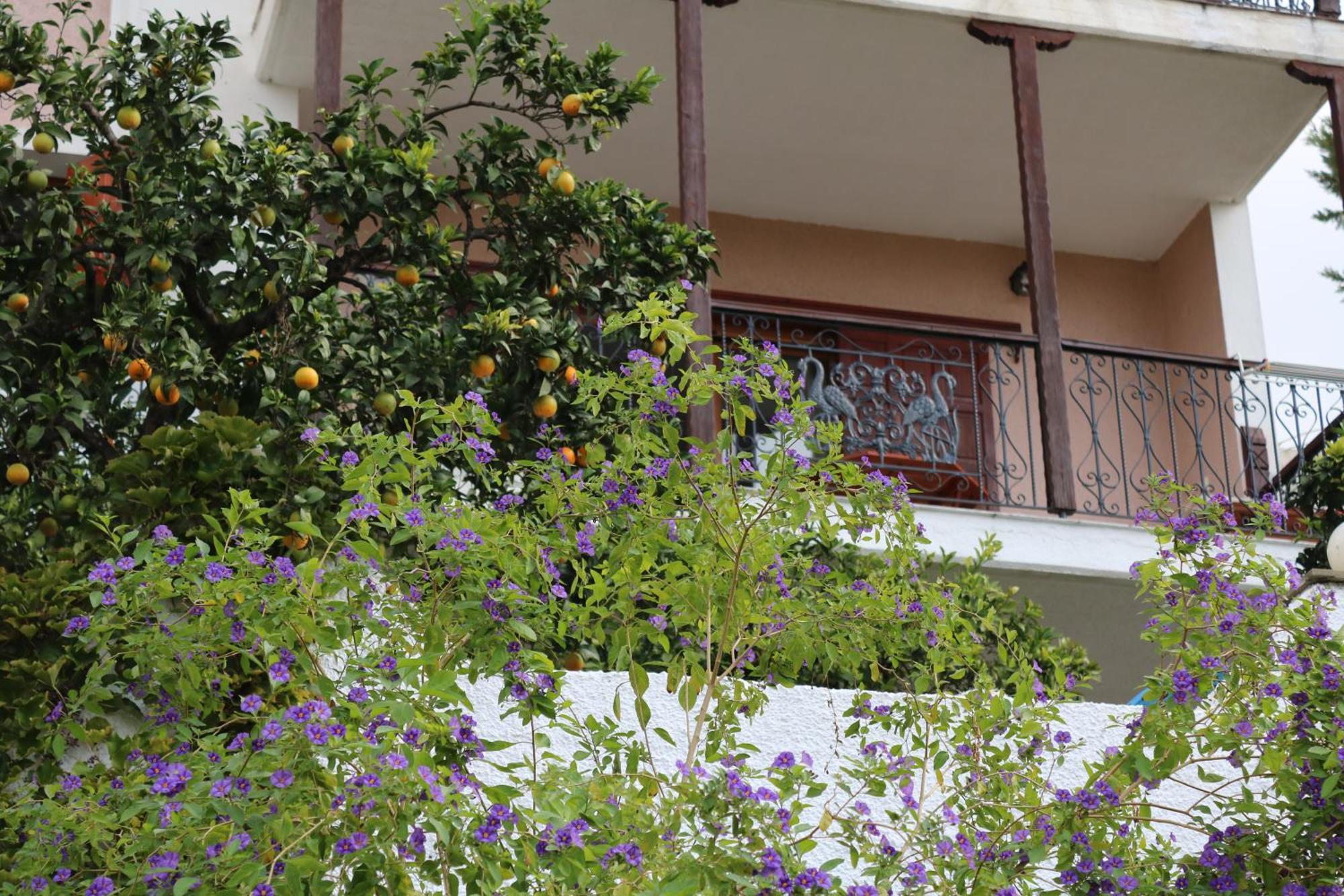 Villa Sofia Marathos  Exterior foto