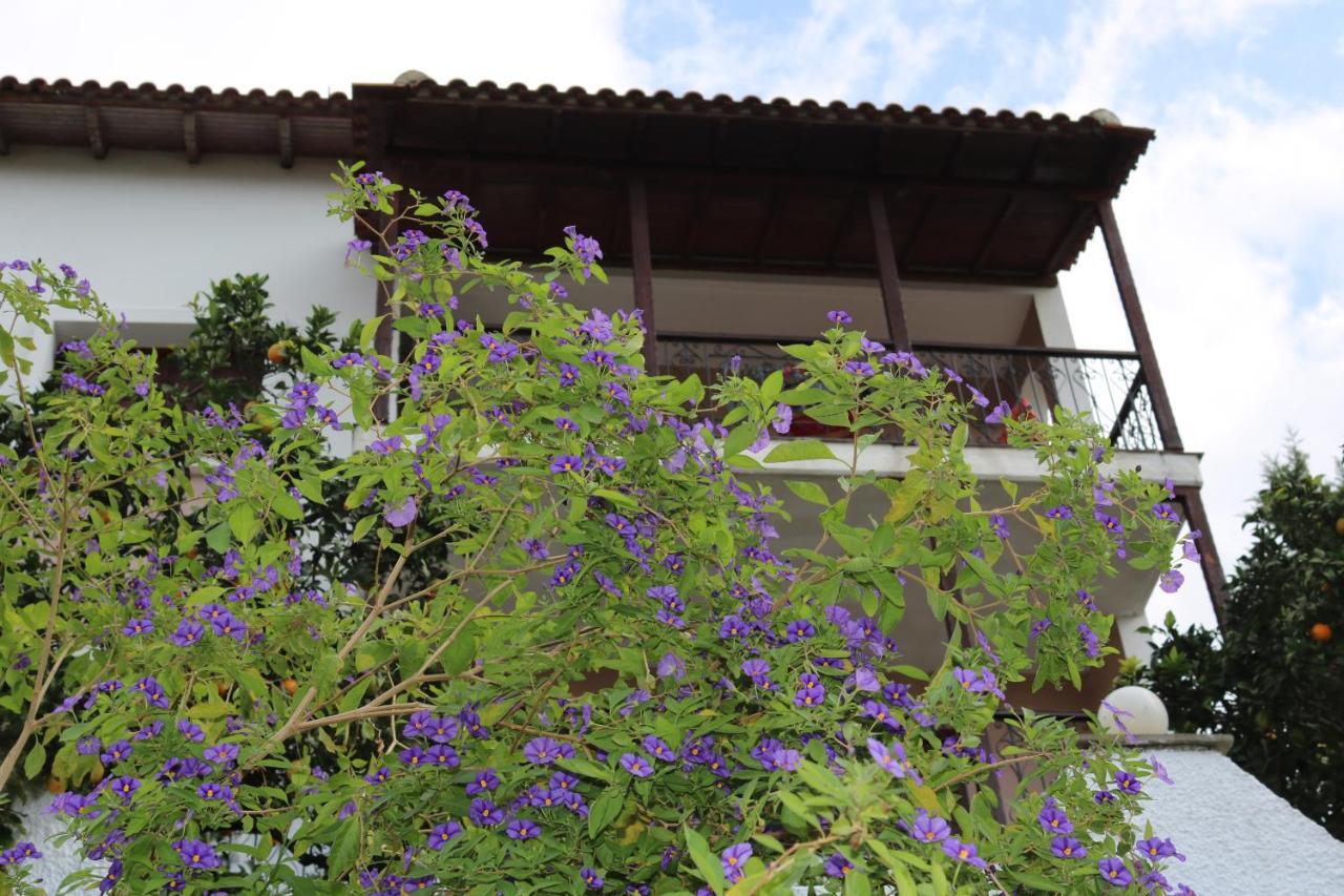 Villa Sofia Marathos  Exterior foto
